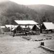 click for larger size