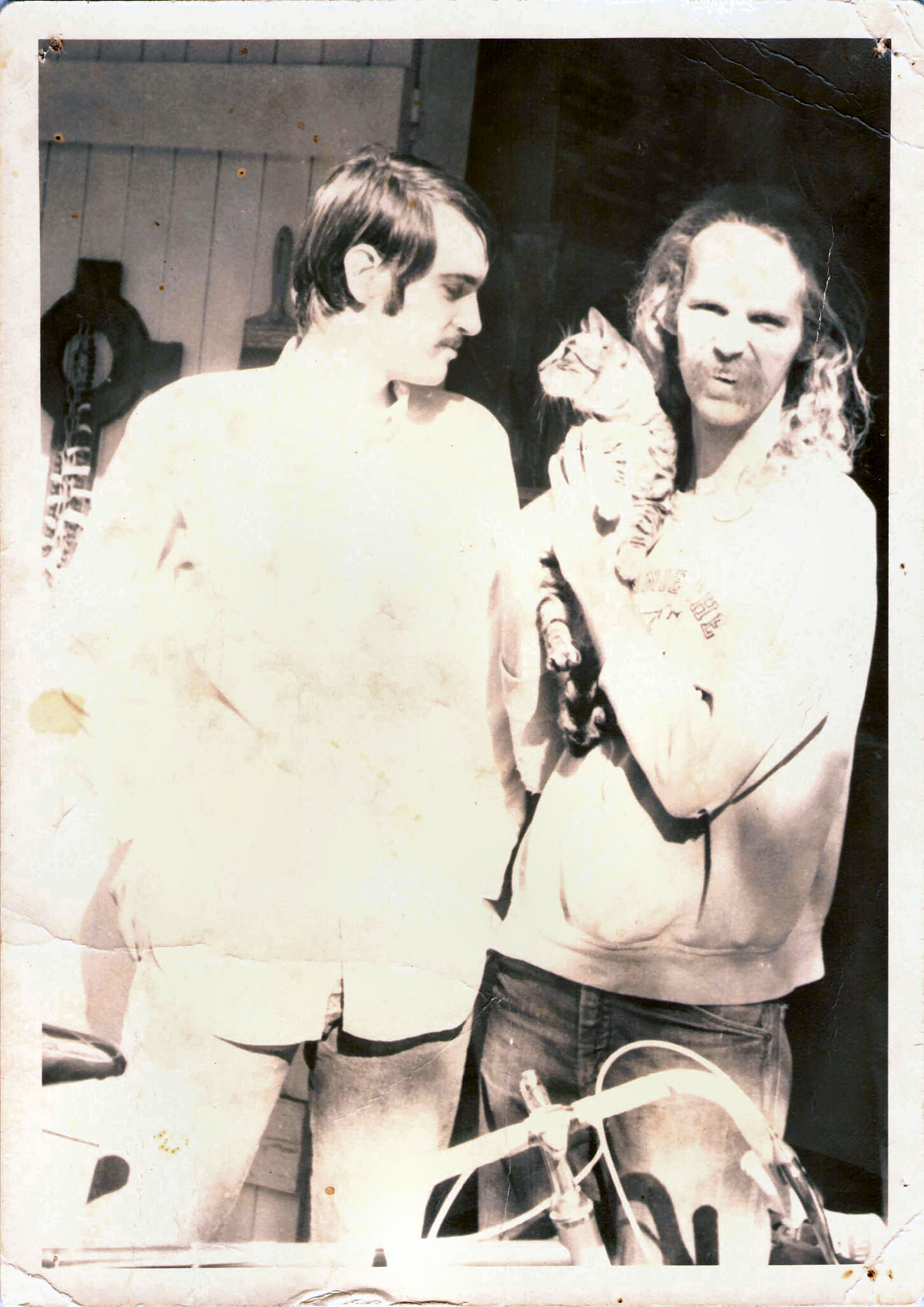 click for larger size