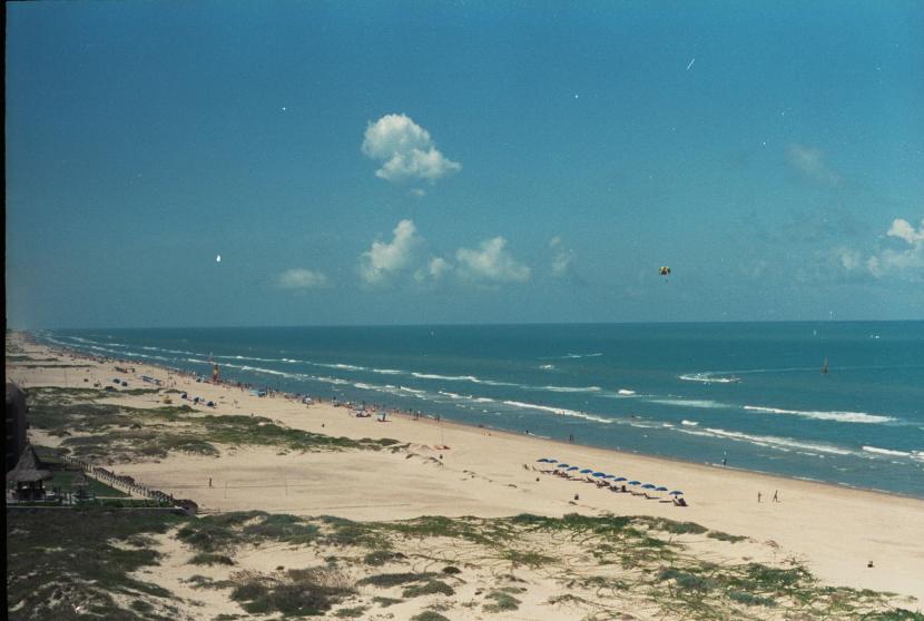 click for larger size