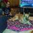click for larger size